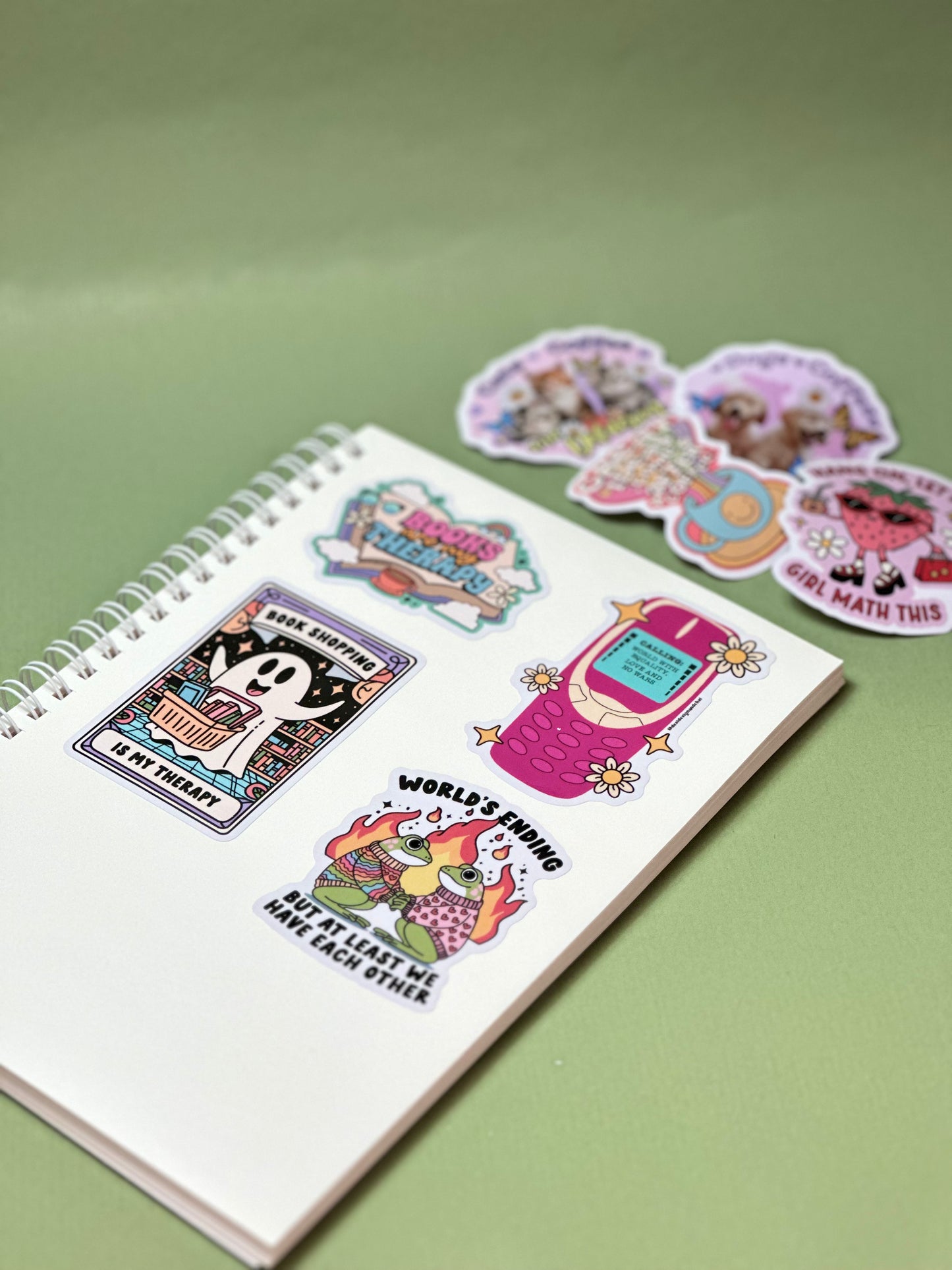 Reusable sticker book - Froggy