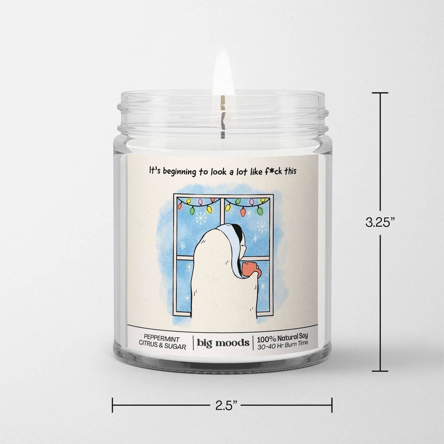 "It's Beginning to Look a Lot like F*ck This" - Soy Candle