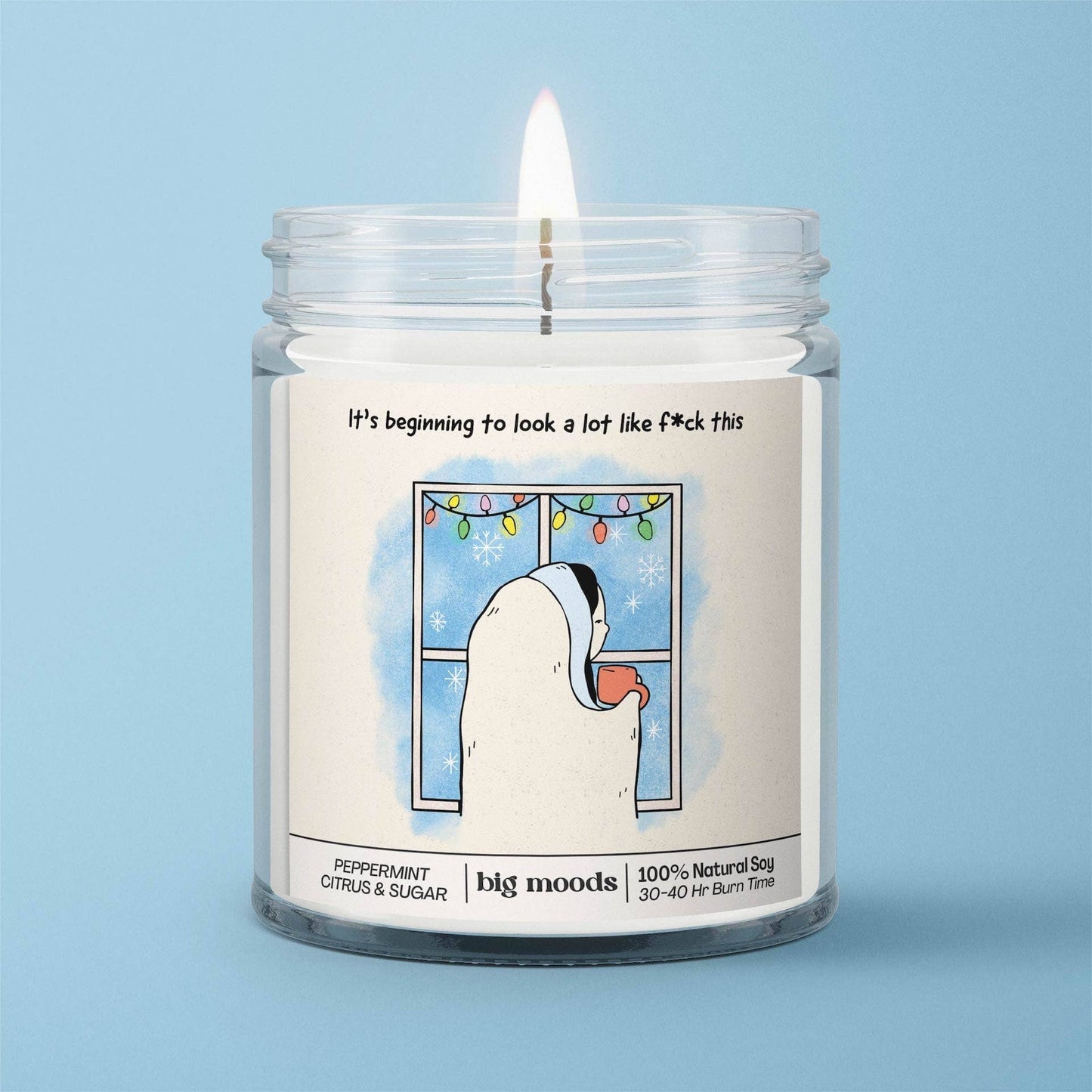 "It's Beginning to Look a Lot like F*ck This" - Soy Candle