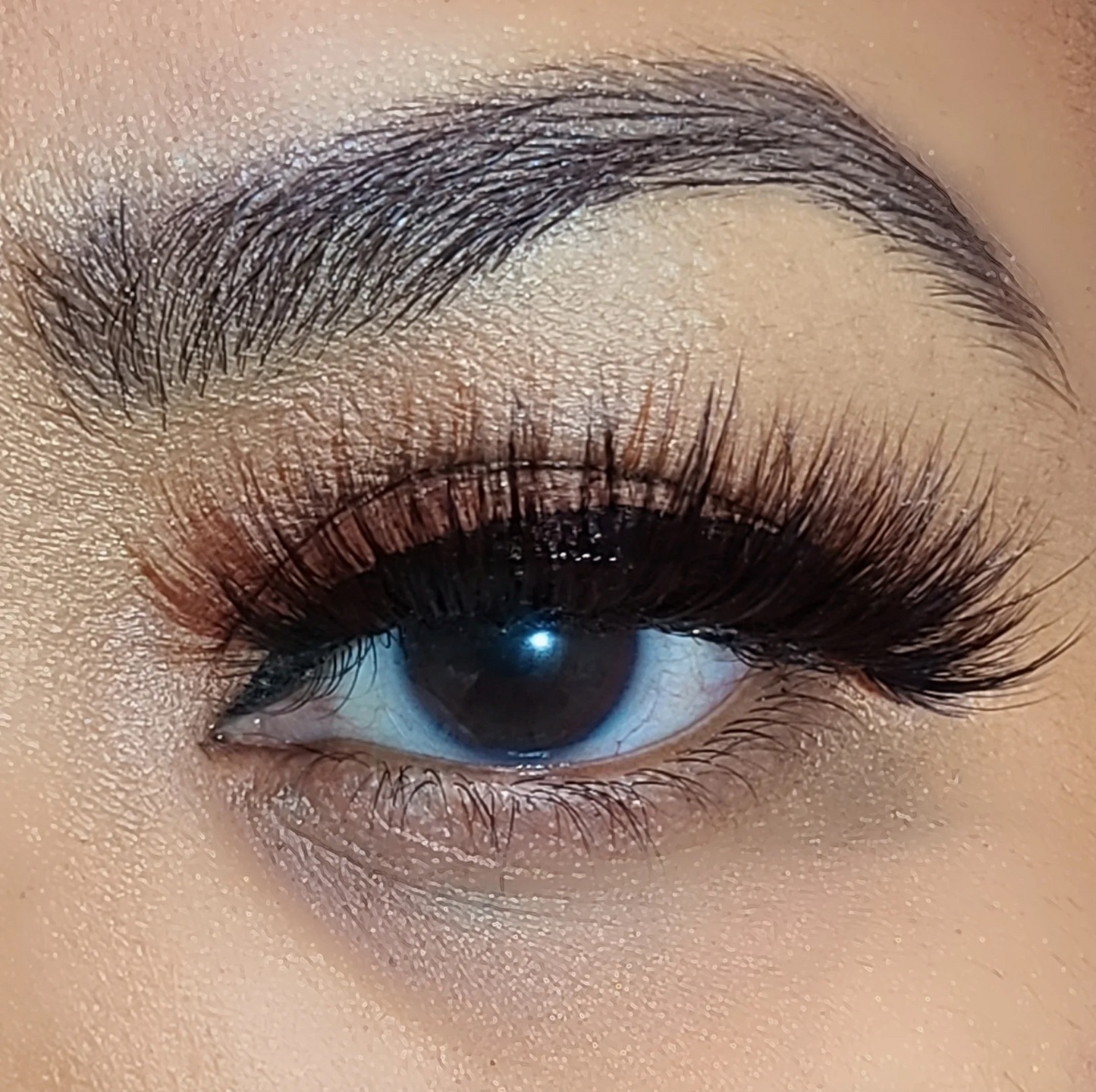 PILC 104 Alpha Lashes