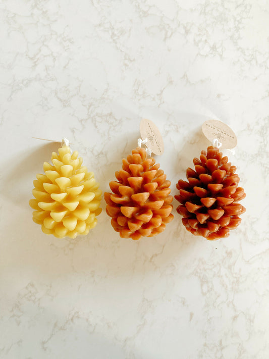 BRBE-PNC Beeswax Pinecone