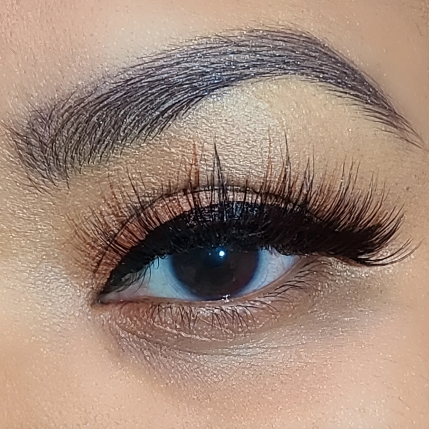 PILC 106 Dreamy Lashes