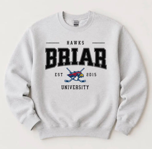 Briar university | Off campus | hockey romance sweatshirt and Tshirt