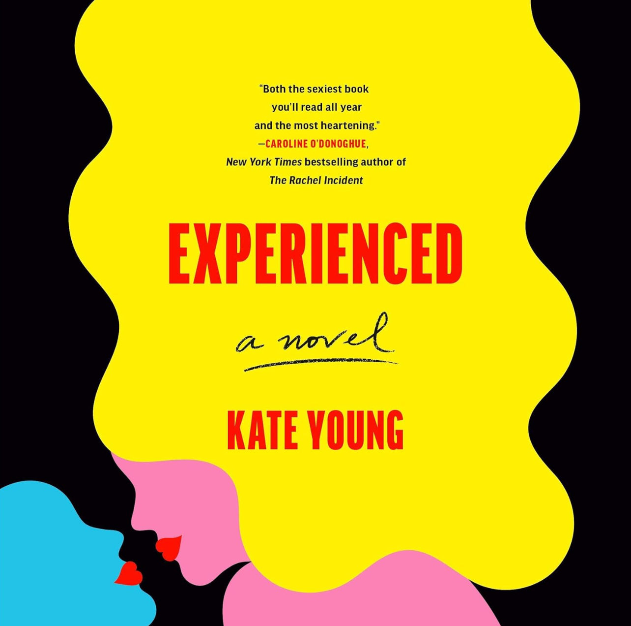 Experienced: A Novel