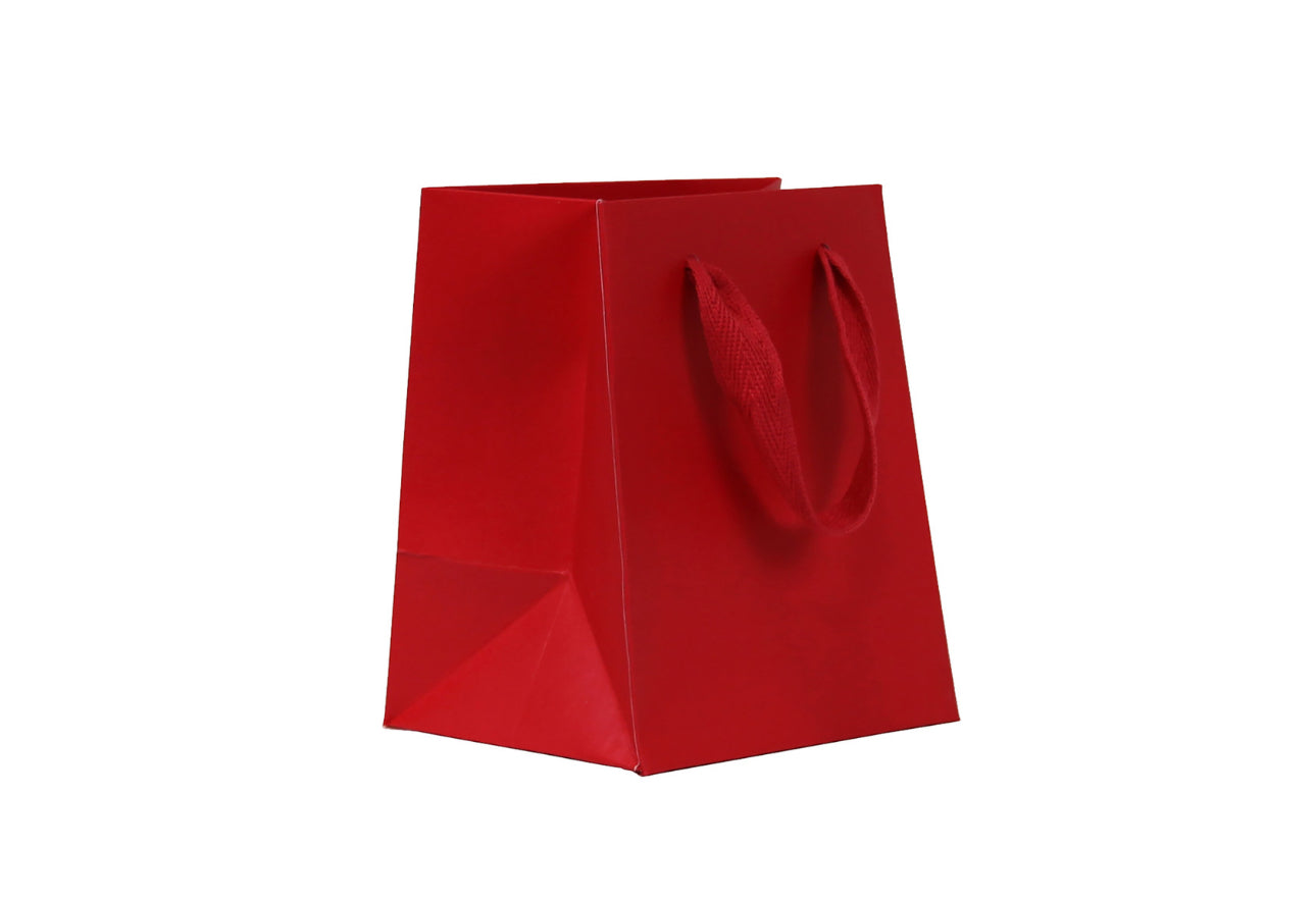 Manhattan gift bag (several colours)