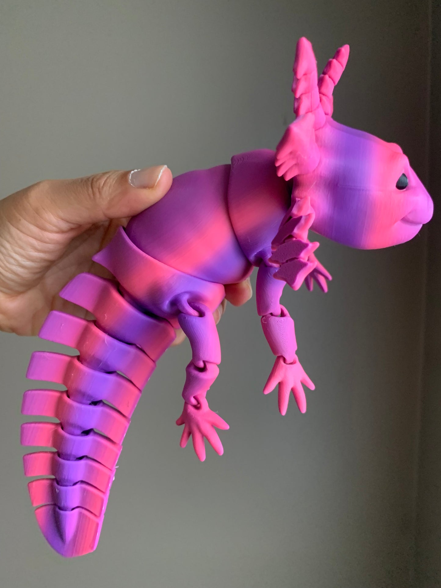 IDDR 1006 - Axolotl (Pink-Purple)