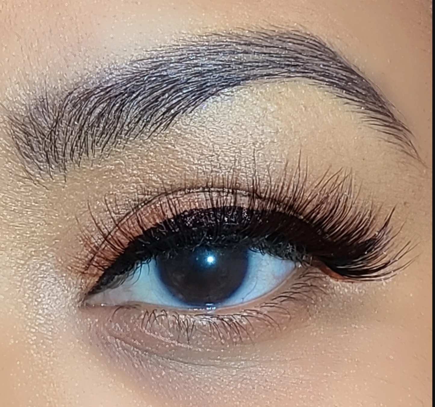 PILC 111 Mami Lashes