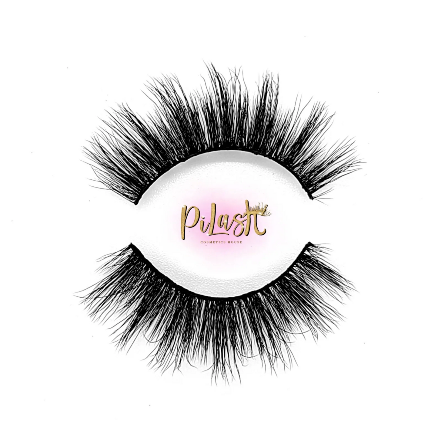 PILC 113 QT 3.14 Lashes