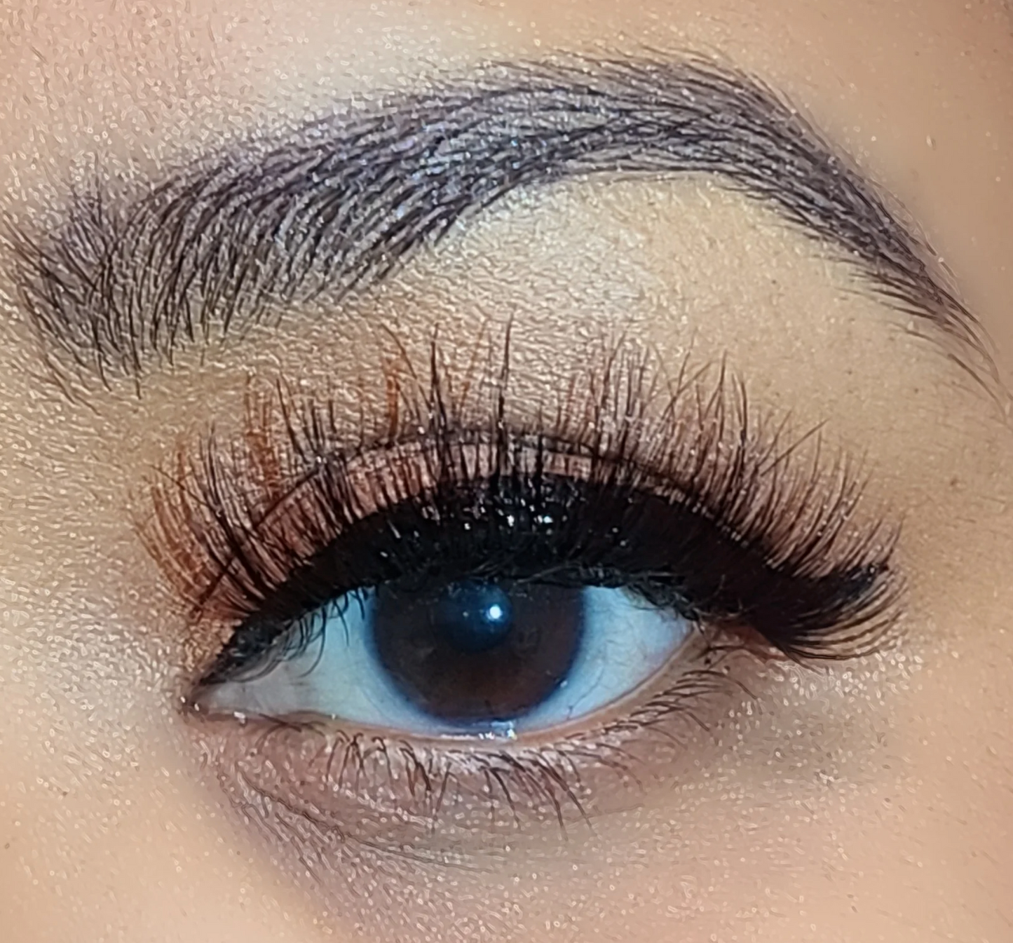 PILC 113 QT 3.14 Lashes