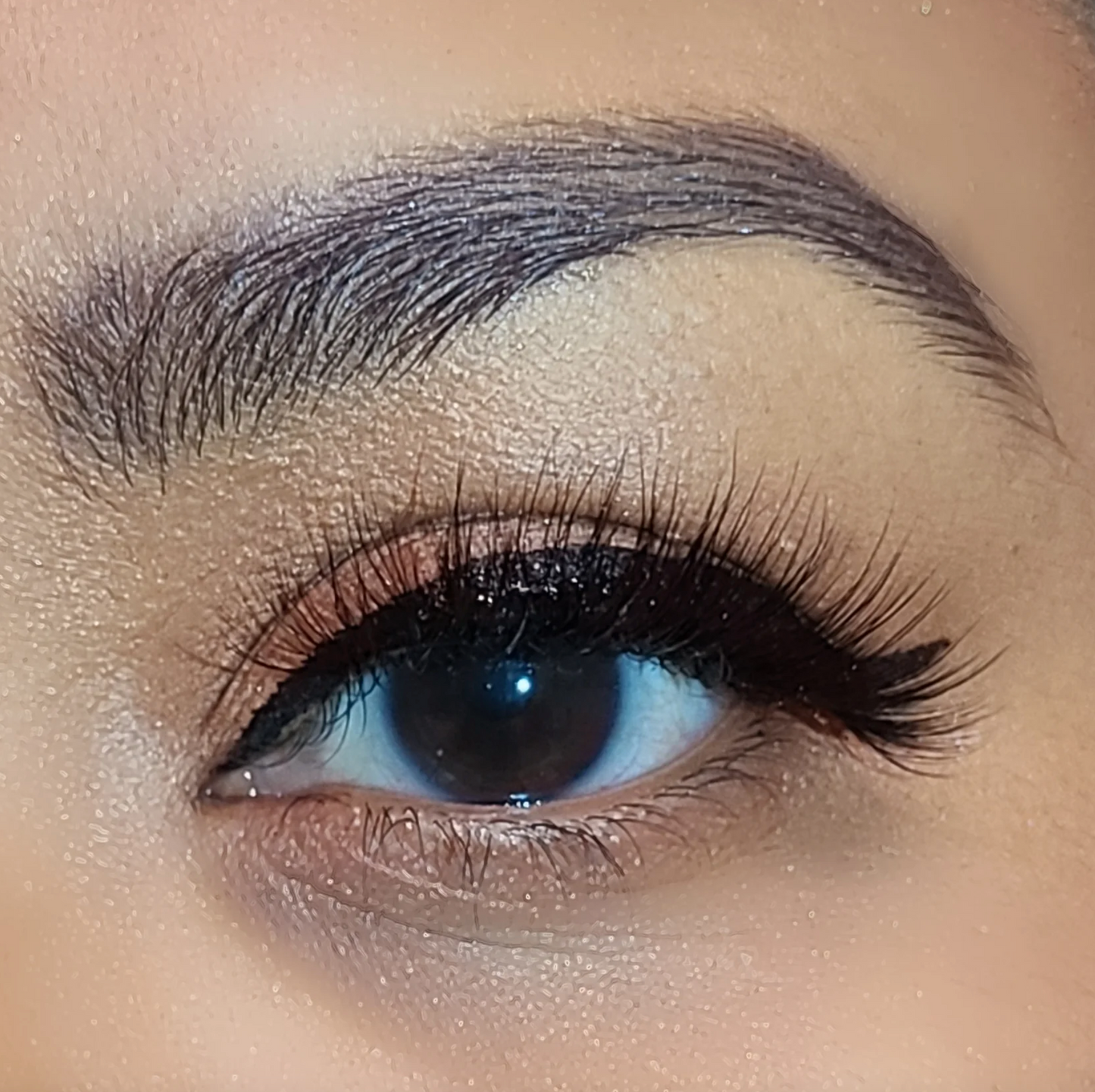 PILC 114 Rebel Lashes