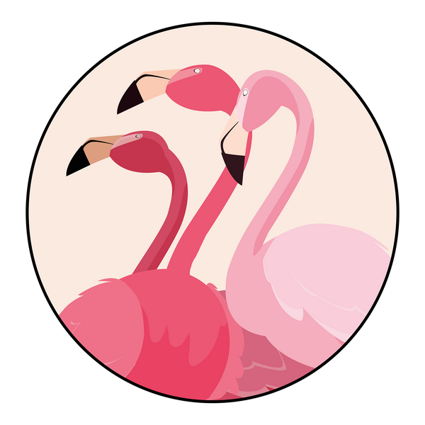 The Flamingo Collective