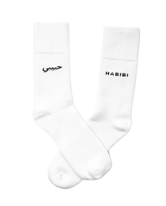 HPL MTL 1 - Habibi Socks