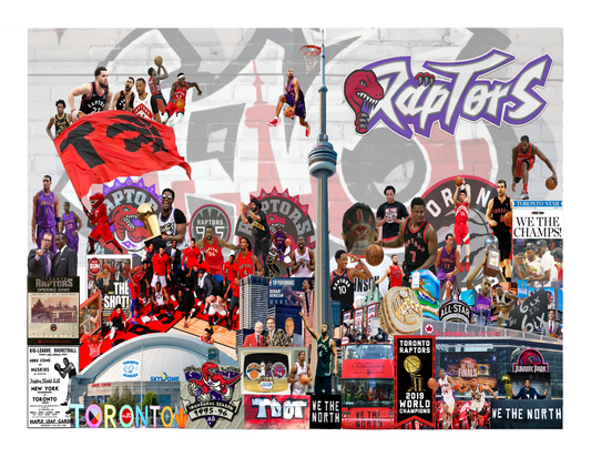 LWCS 27- 8.5 x 11 Raptors Print