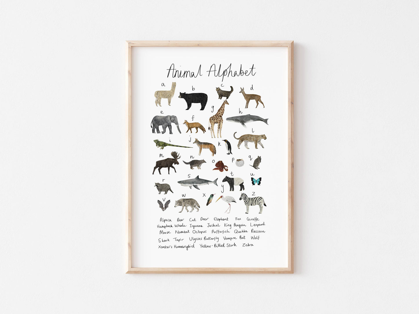 Rhian Davie Illustration - Animal Alphabet