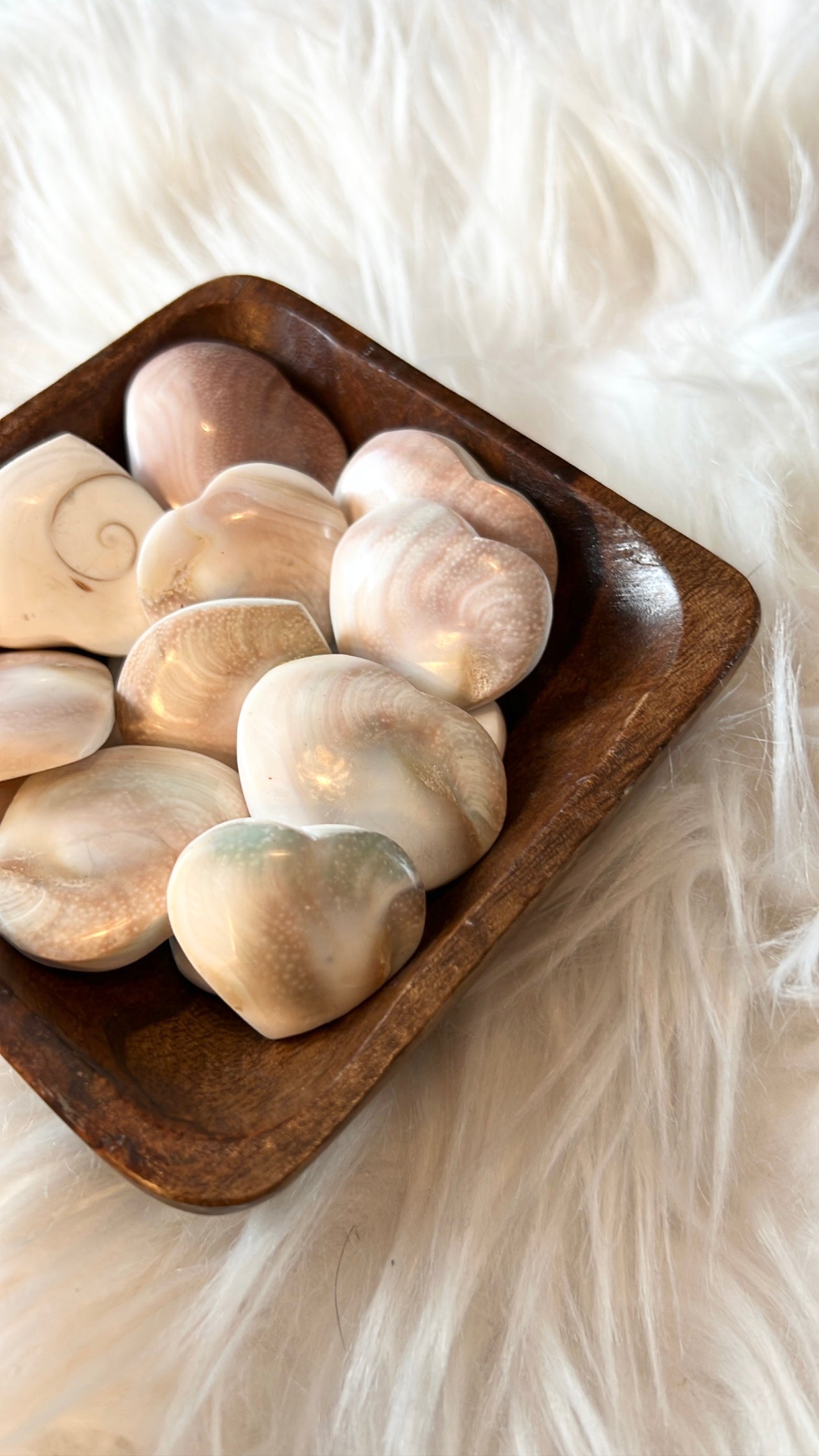 Shiva shell heart carvings